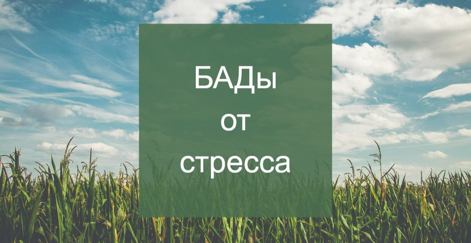 [Елена Суханова] Психокоррекция через нутрицевтики_0.png